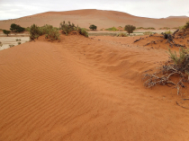 Namibo dykuma