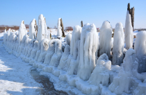 &quot;Ledo skulptūros&quot; Albina Jasinskaitė