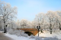 &quot;Žiemai tiltai nereikalingi&quot; Dmitrij Fedosejev